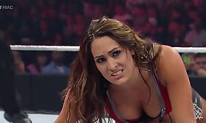 Nikki Bella VS Brie Bella